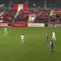 Celtic Fc Hearts GIF by SPFL