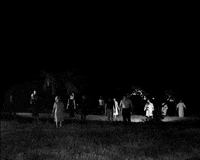 night of the living dead GIF by Maudit