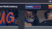 Home Run Omg GIF by New York Mets