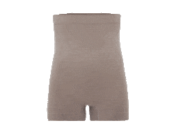 Shapewear Sticker by Plie Indonesia