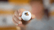 Loyola Chicago GIF by LoyolaRamblers