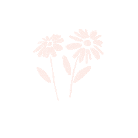 nsrnaas flowers leaves daisy Eid Sticker