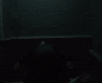 Gnat GIF by Eminem