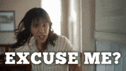 Excuse Me Question GIF by BabylonBee
