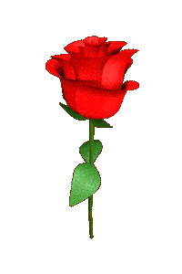 Sticker gif. 3D rendering of a long-stemmed red rose, turning around and around on its axis.