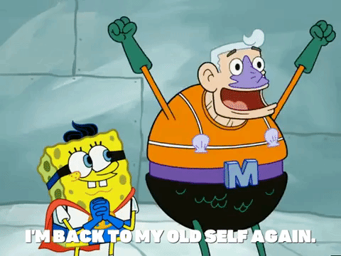 Season 5 Blackened Sponge GIF by SpongeBob SquarePants