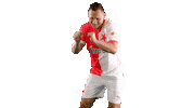 Jan Boril Happy Dance Sticker by SK Slavia Praha