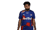 Rb Leipzig Football Sticker by Bundesliga