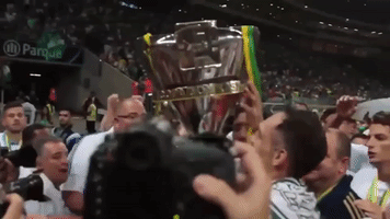 GIF by SE Palmeiras