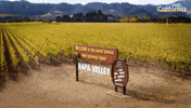 Sponsored gif. Zooming view that moves past a sign welcoming visitors to Napa Valley in California, the world famous wine growing region. From there, the view shows a massive vineyard with tree-covered hills in the distance.