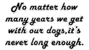 Dog Sticker by OpticalArtInc.