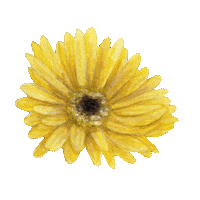 Flower Garden Flowers Sticker