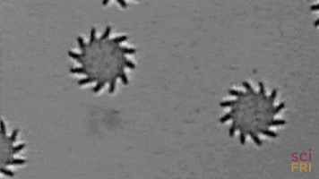 cyborg bacteria GIF by Science Friday