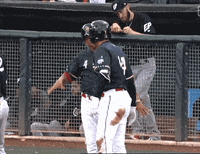 SaltLakeBees baseball bees milb hermosillo GIF