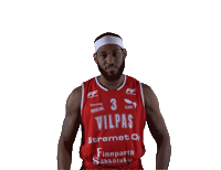 Basket_fi sport basketball hoops vikings Sticker