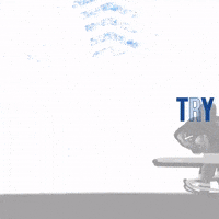 Niall Annett home try