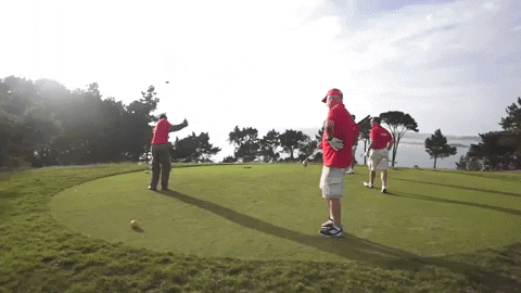 Palibex giphyupload golf deporte transporte GIF