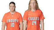 Dive Catchme Sticker by Carson-Newman Athletics