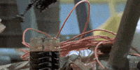 The Boss GIF by RajiniGifs