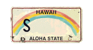 Rainbow Hawaii Sticker