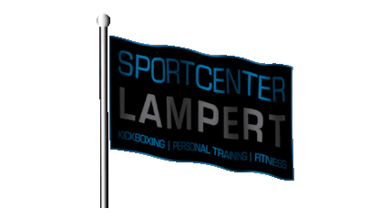 chikudoma giphyupload fitness kickboxing liechtenstein Sticker