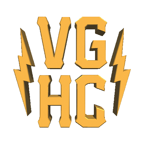 VGHC giphyupload hockey gold nhl Sticker