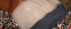 Toronto International Film Festival GIF by TIFF