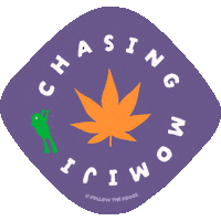 Chasing Autumn Leaves Sticker by Follow The Frogs