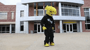 Wu_Shock wu wsu wushock shockers GIF