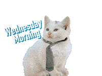 Tired Wednesday Morning Sticker by GIPHY Studios 2021
