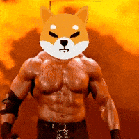 Shiba GIF by SHIB MEMES