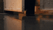 Ela Leyla GIF by Ay Yapım