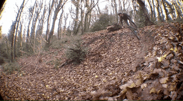 mountain biking GIF by Santa Cruz Bicycles