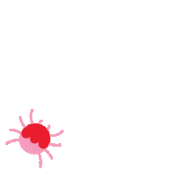 Spider Bug Sticker by Museum of Ice Cream