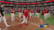 Sport Baseball GIF by MLB