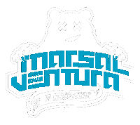 Dj Ventura Sticker by marsalventuradj