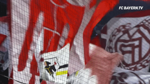 Lets Go Football GIF by FC Bayern Munich