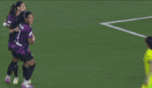 2025 GIF by National Women's Soccer League