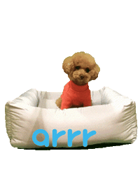 아르르 Sticker by arrr_official