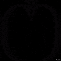 Logo Maia GIF by Nutchies Indonesia