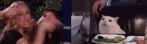 The Real Housewives Of Beverly Hills Cat GIF by MOODMAN