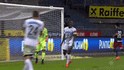 Angry Scream GIF by SK Sturm Graz