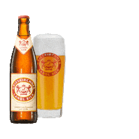 Beer Cheers Sticker by Grieskirchner