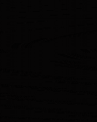 Tennis Go Cards GIF by Louisville Cardinals