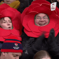 Womens6Nations fan fans womens six nations GIF