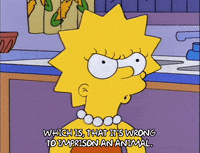 season 5 GIF