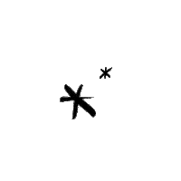 Snow Star Sticker by Daily Harvest