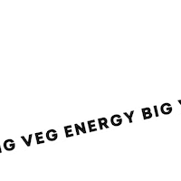 Energy Veggie Sticker by Daily Harvest