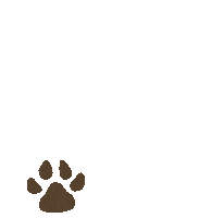 Oliviamarie95 dog paws dog prints paw shop art from olive Sticker