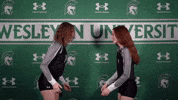 Iwuwvb24 GIF by iwusports